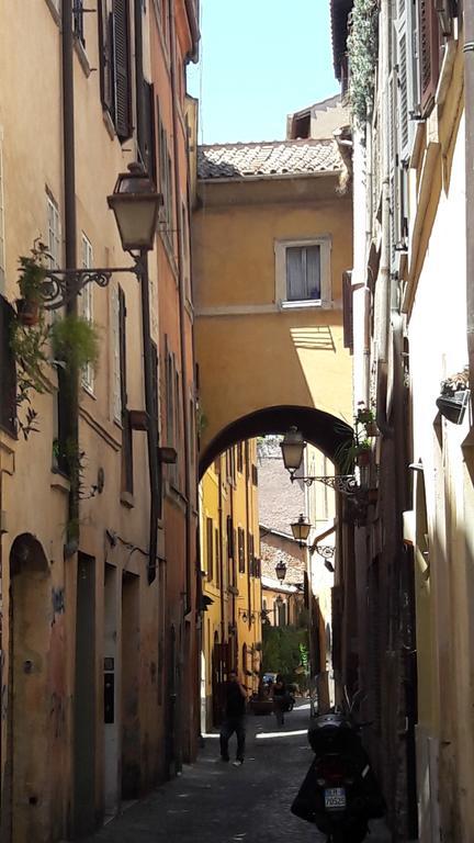 Cappellari29 *